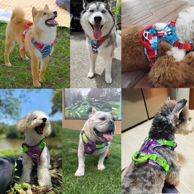 Customized Name Dog Harness