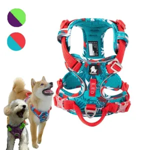 Customized Name Dog Harness