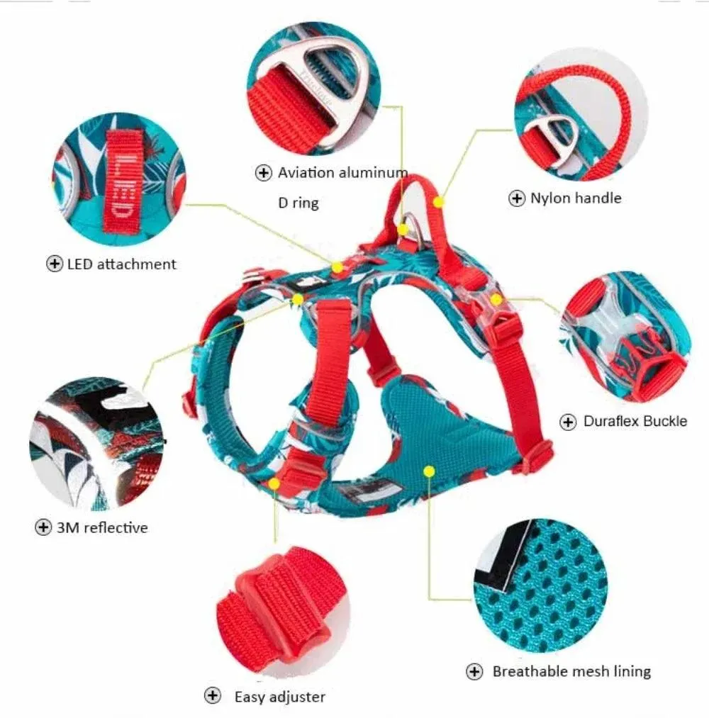 Customized Name Dog Harness