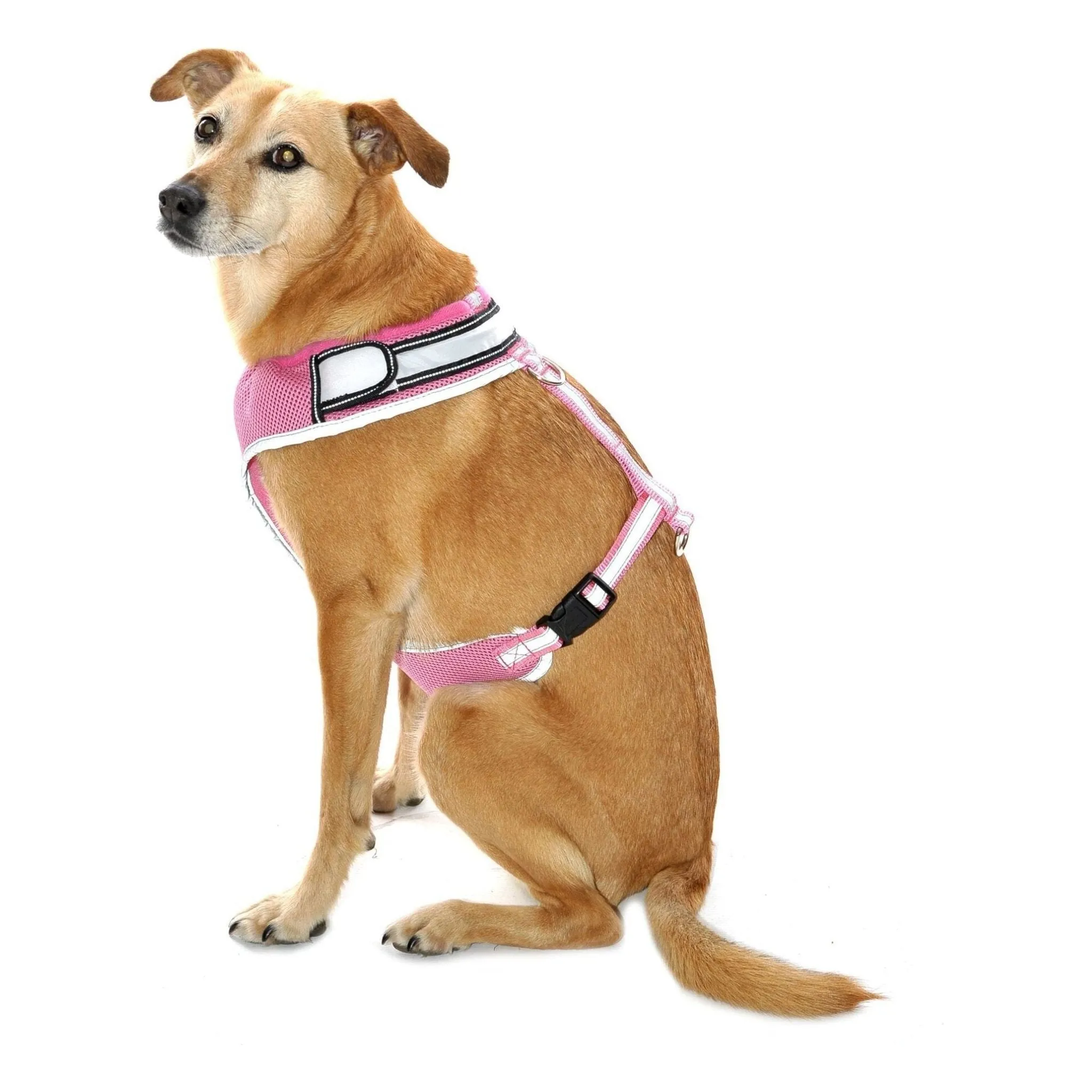 Equisafety LED Flashing Hi Vis Reflective Dog Harness