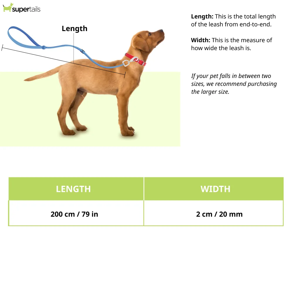 Hunter Hilo Training Leash for Dogs (Anthracite)