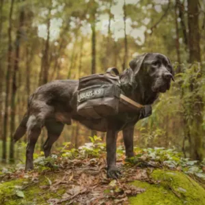 Julius K9 IDC Sidebags for Powerharness Size 1-2