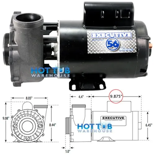Waterway Executive 3 Horsepower 2 Spd 56 Frame Pump 3721221-13 - 2.5" Intake